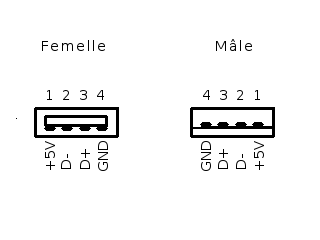 Pinout connecteur USB A